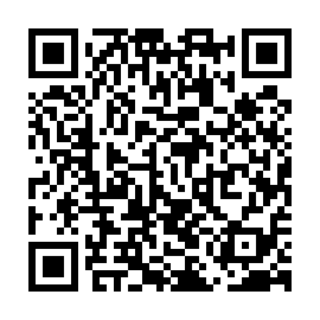 QR code for UME519