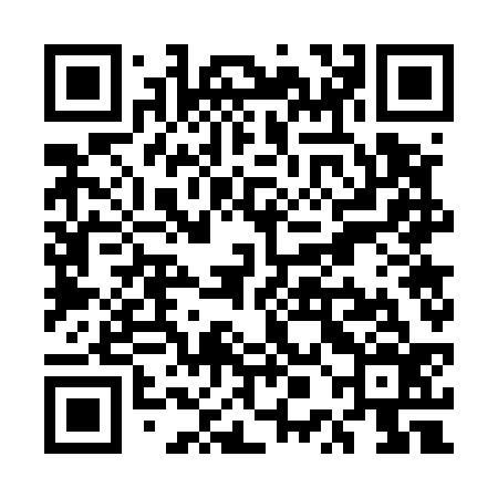QR code for UPG536