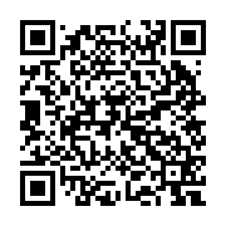 QR code for VAG261