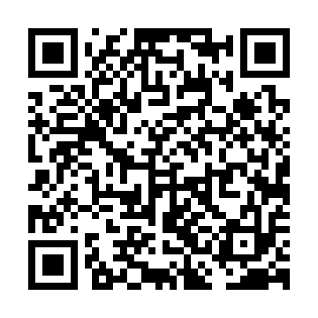 QR code for VCD313