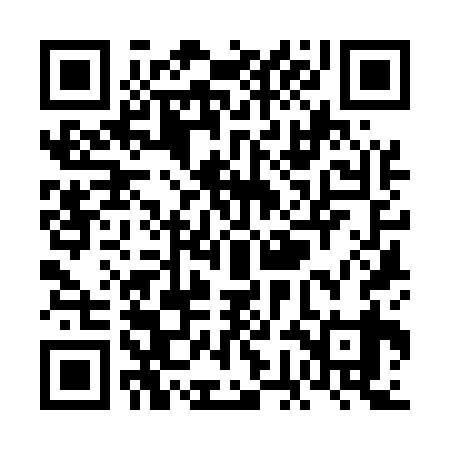 QR code for VGK539