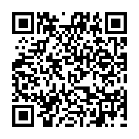 QR code for VGL313