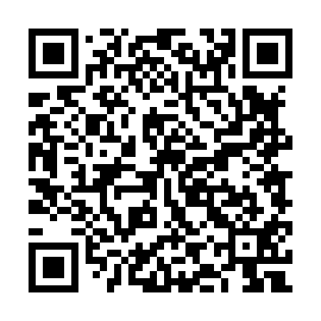 QR code for VIT811