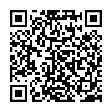 QR code for VNS033