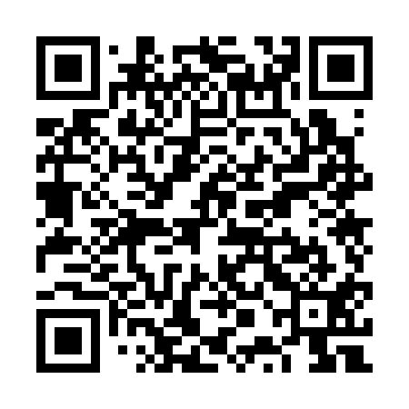 QR code for VPO311