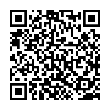 QR code for VPX338