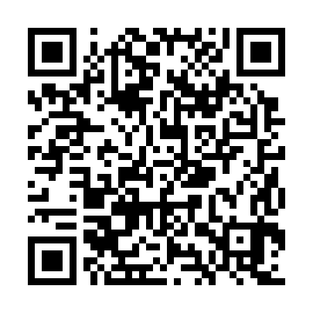 QR code for WIR383