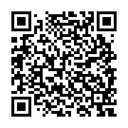 QR code for WON393