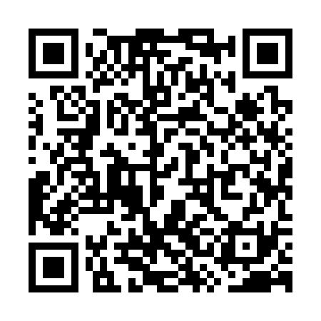 QR code for WSI331