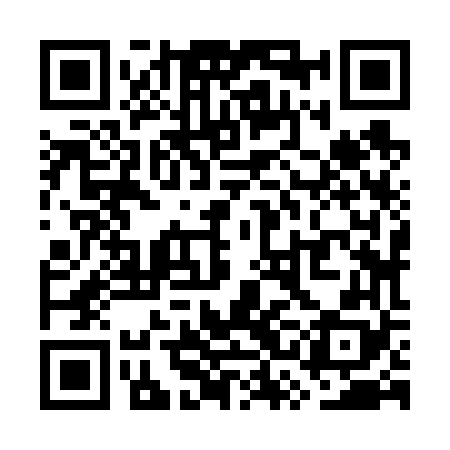 QR code for WSJ668