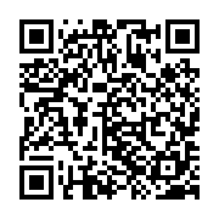 QR code for WZN295