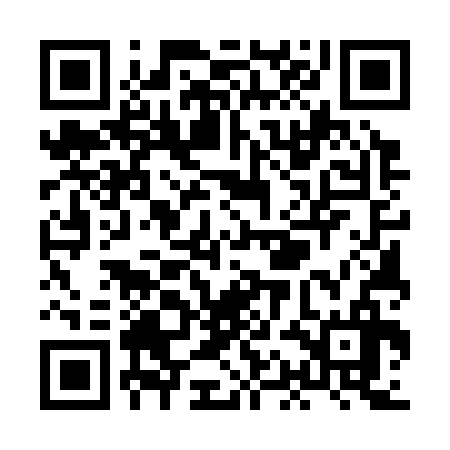 QR code for XAE336
