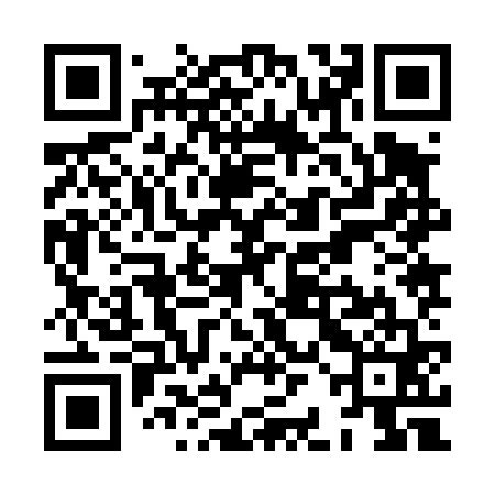 QR code for XBJ461
