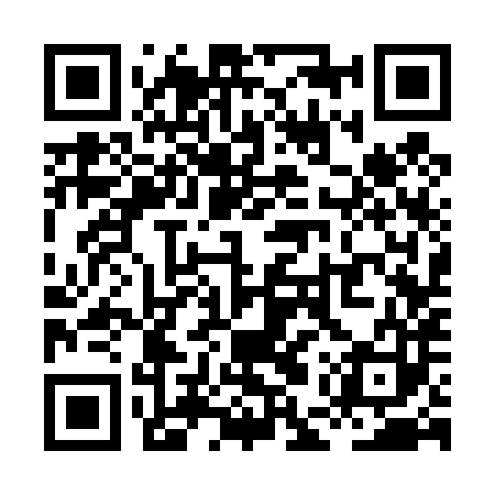 QR code for XES483