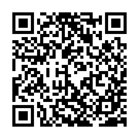 QR code for XNS387