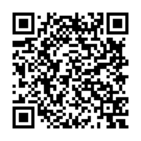 QR code for XVI875