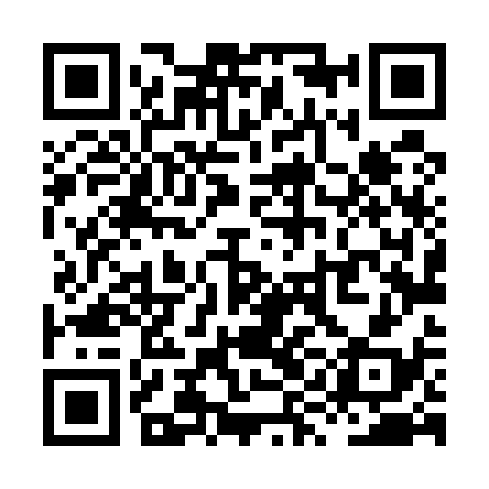 QR code for XYL538