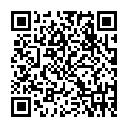 QR code for XZP313