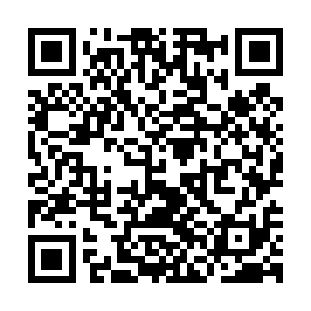QR code for YFO411