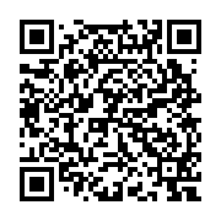 QR code for YFS391