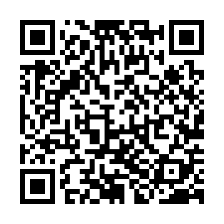 QR code for YHL309