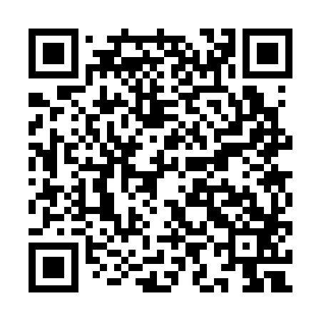 QR code for YIC383