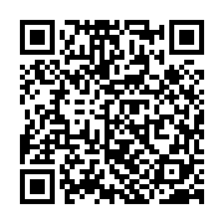 QR code for YII868