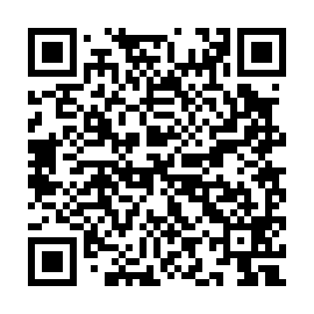 QR code for YIR099