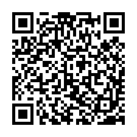 QR code for YLB493