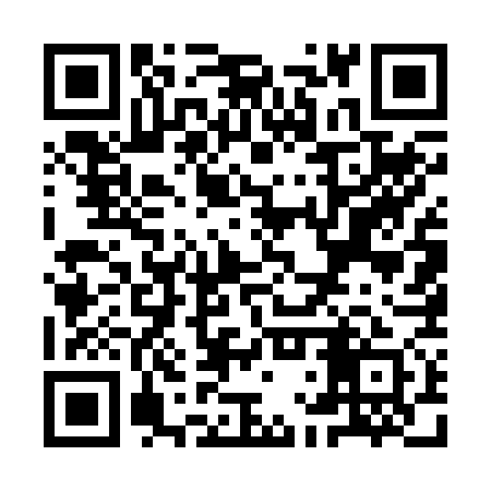 QR code for YLU271