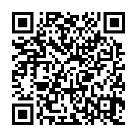 QR code for YLV335