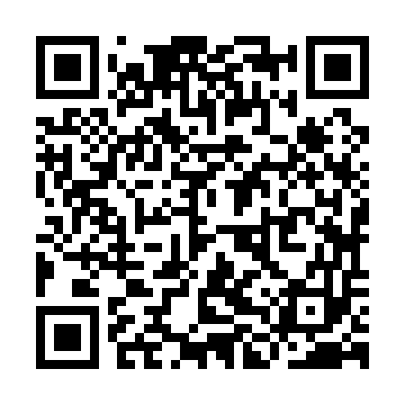 QR code for YLZ153