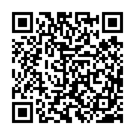 QR code for YSP663
