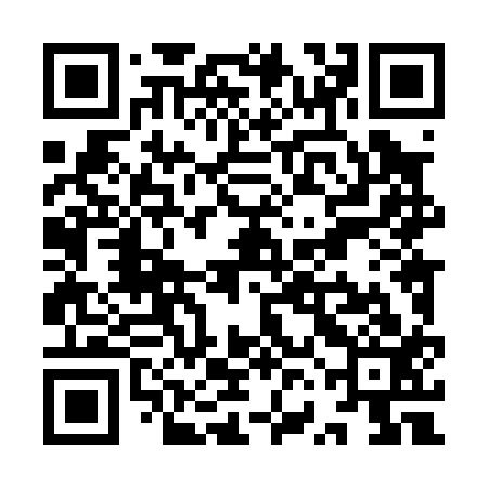 QR code for YVL013