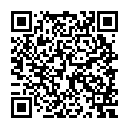 QR code for YZX381