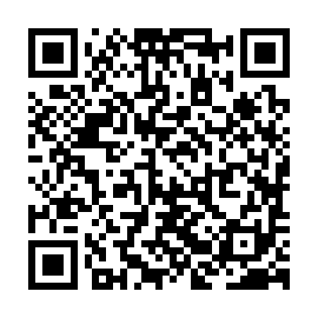 QR code for ZBZ391
