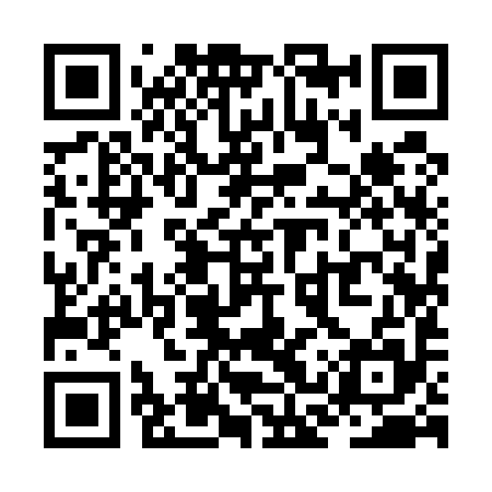 QR code for ZCY595
