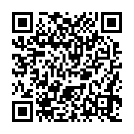 QR code for ZDJ272