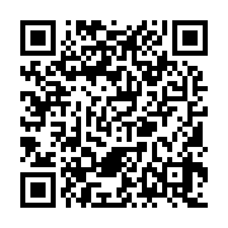 QR code for ZDM938