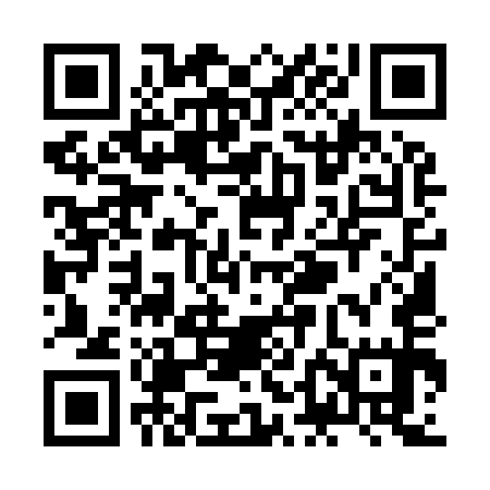 QR code for ZDM955