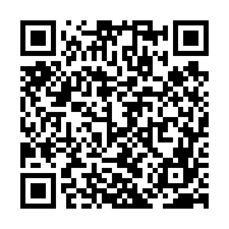 QR code for ZEW666