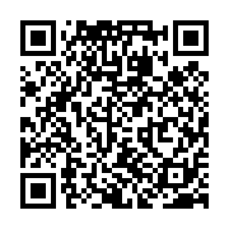 QR code for ZFE411