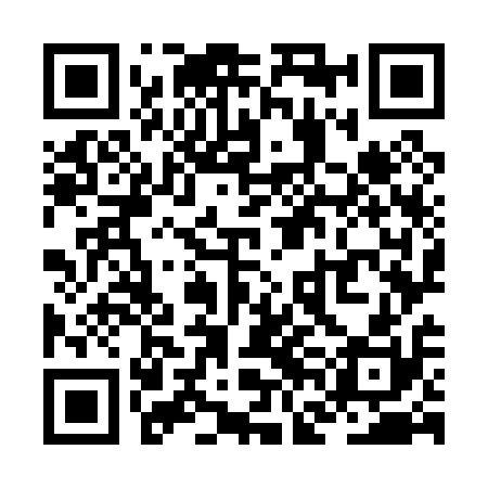 QR code for ZFO010