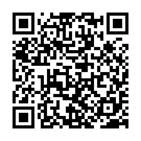 QR code for ZFW995