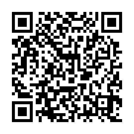 QR code for ZGV333