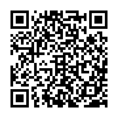 QR code for ZGX380