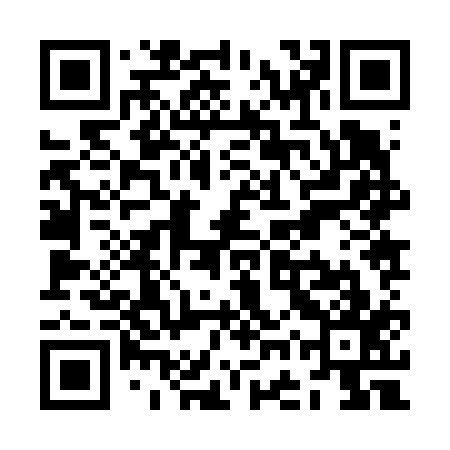 QR code for ZGZ617