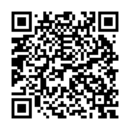 QR code for ZJH217