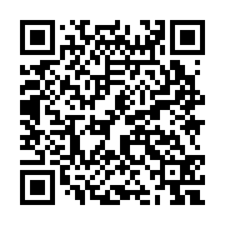 QR code for ZJI332