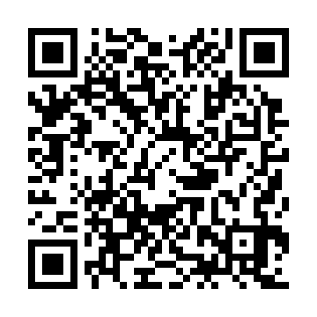 QR code for ZJP333